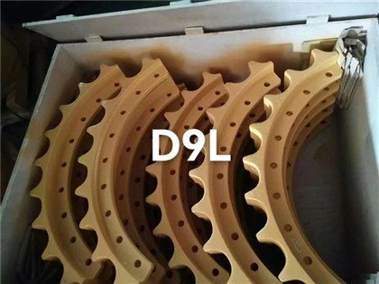 D9L segment
